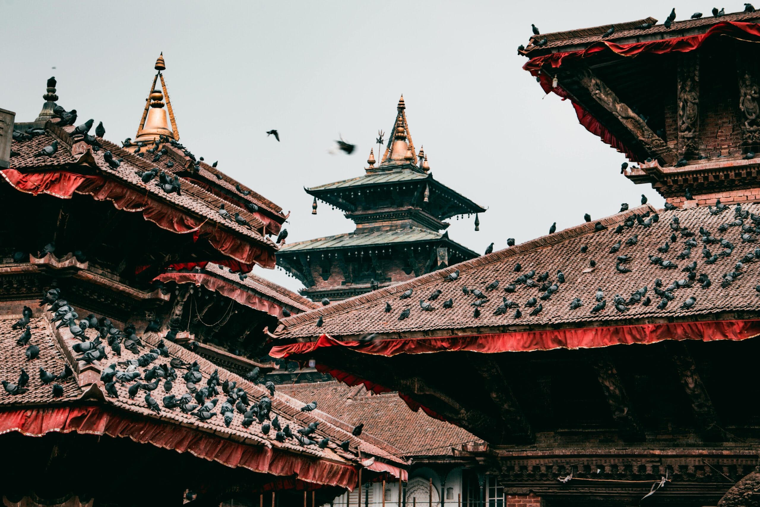 Pigeons on traditional pagoda rooftops in cultural Kathmandu, Nepal.